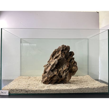 BIG気孔石塊　１点もの　No.5011（W約31cm/H約25cm)(60cm水槽）