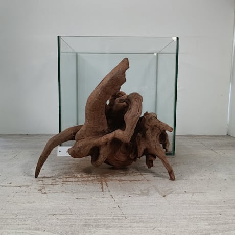 CATEGORY Lサイズ | 流木専門店のアクアリバー/アクアリウム/グリーン