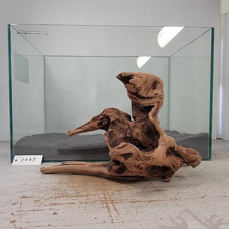 CATEGORY Mサイズ | 流木専門店のアクアリバー/アクアリウム/グリーン 