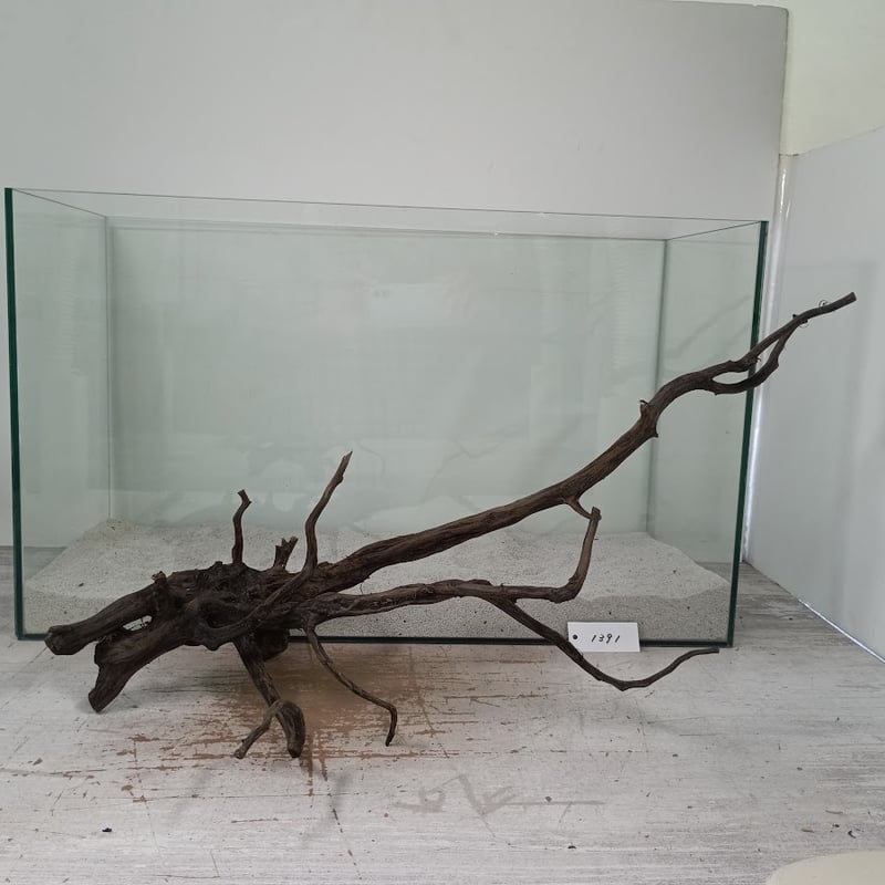 流木　約20.2㎝ ネシア流木 ブラックタイプ 2Lサイズ 1点ものNo.1391【W約60cm