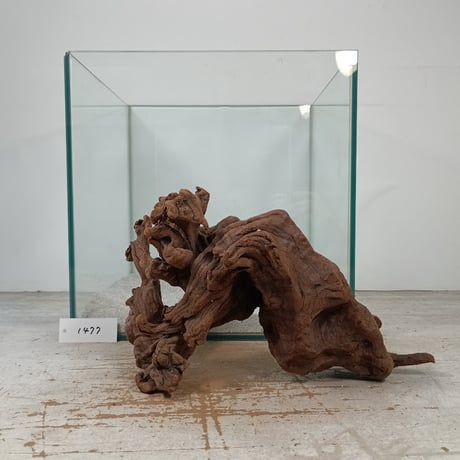 流木専門店のアクアリバー/アクアリウム/グリーンインテリア