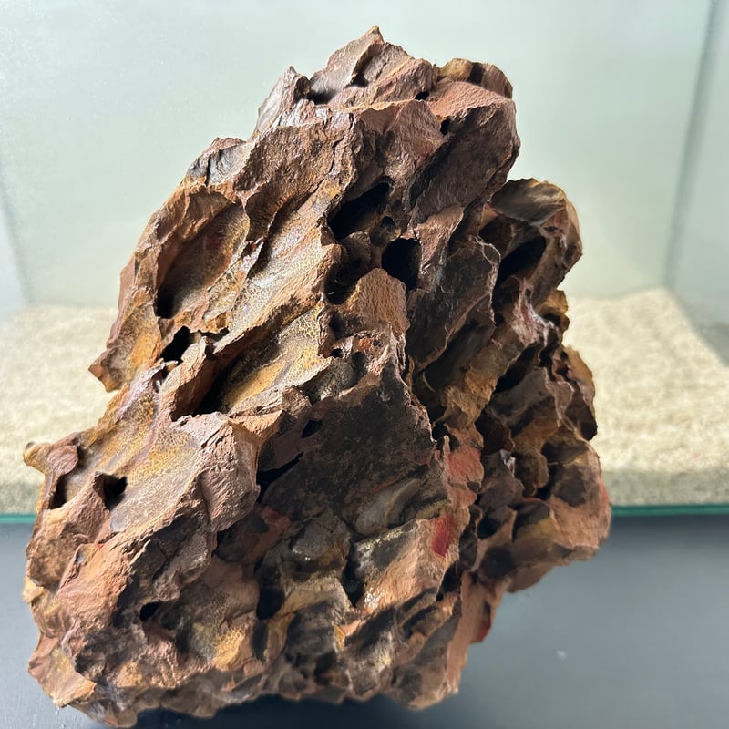 陽火石 気孔石 17kg BIG気孔石塊 1点もの No.5011（W約31cm/H約25cm)(60cm水槽） | 流
