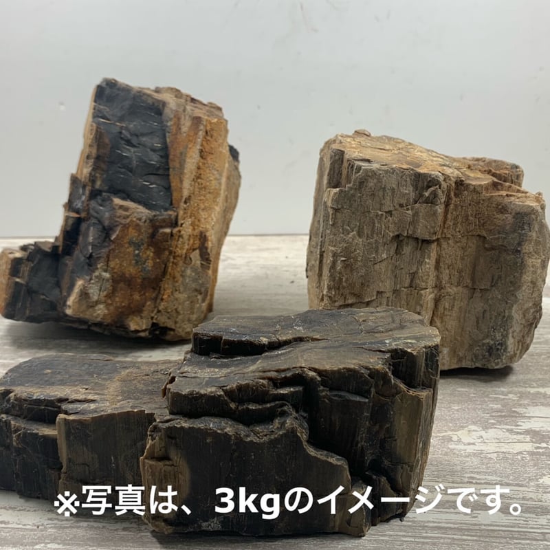 木化石・MIX(レギュラー3kg セット+ミニ1kg)セット | 流木 木化石・MIX(レギュラー3kg セット+ミニ1kg)セット | 流木