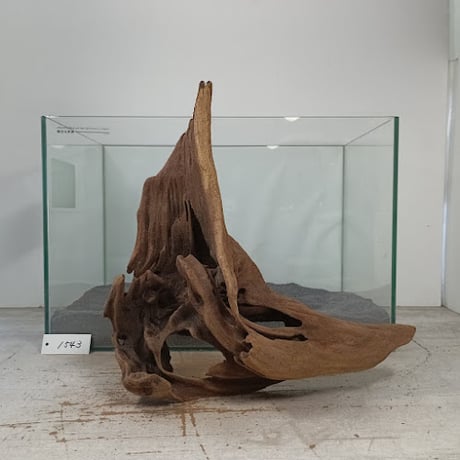 流木専門店のアクアリバー/アクアリウム/グリーンインテリア