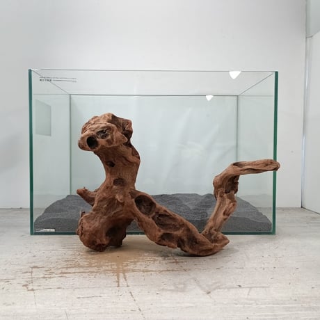 流木専門店のアクアリバー/アクアリウム/グリーンインテリア 流木専門店のアクアリバー/アクアリウム/グリーンインテリア