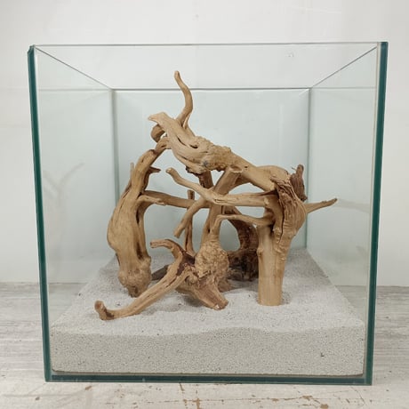 流木専門店のアクアリバー/アクアリウム/グリーンインテリア