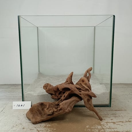 流木専門店のアクアリバー/アクアリウム/グリーンインテリア