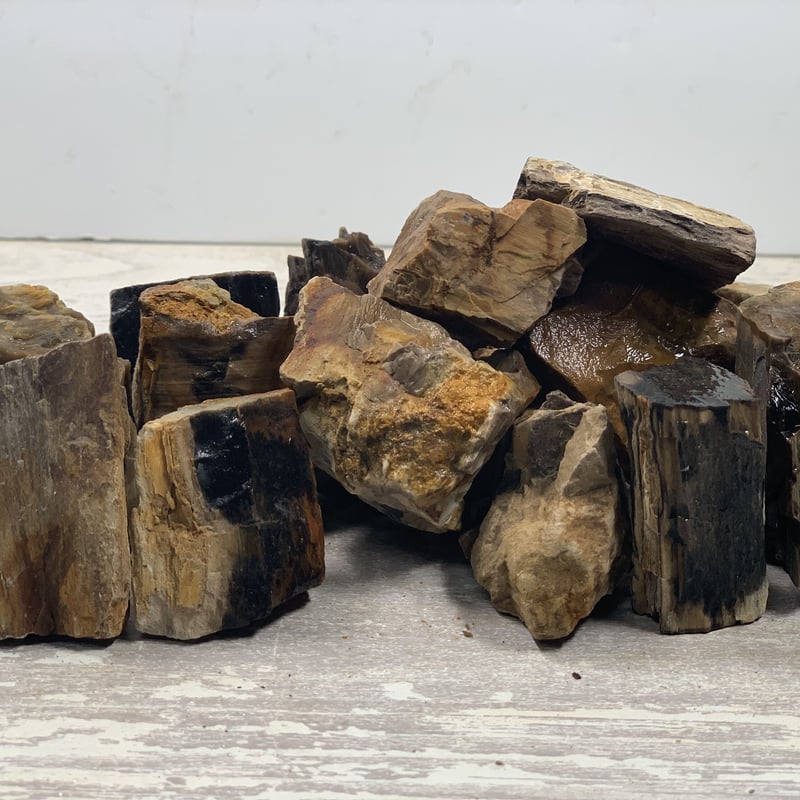 木化石 木化石・MIX（レギュラー3kg セット＋ミニ1kg）セット（kgあたり600円