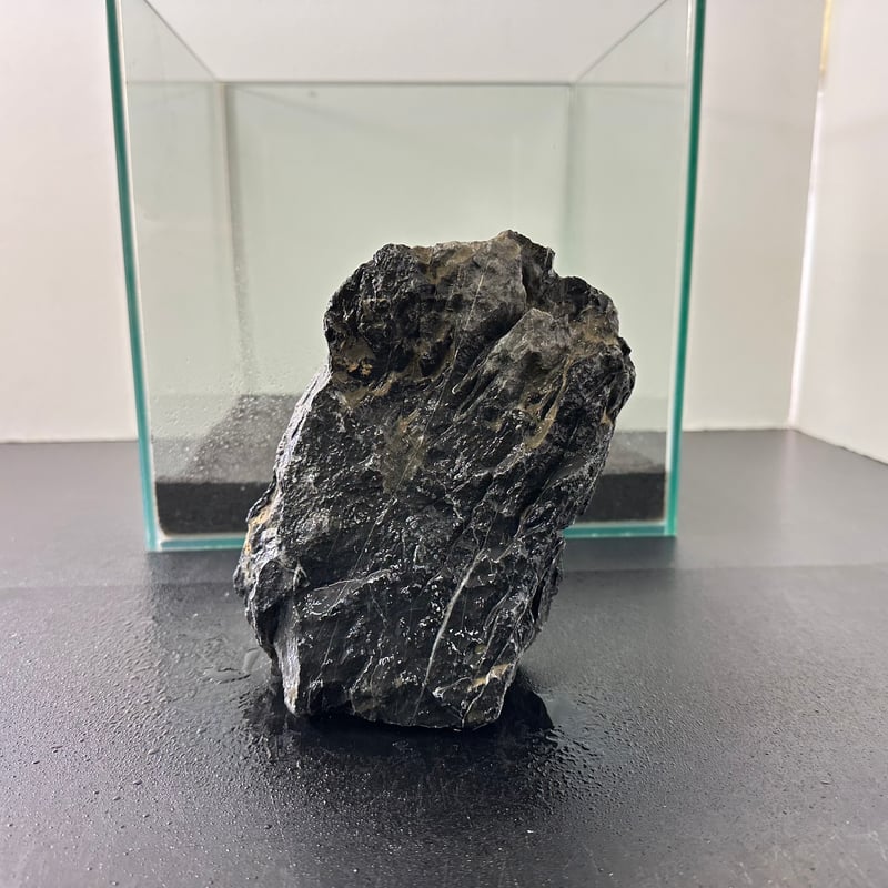 サンムーンストーンとドラゴンの台座 サンムーンストーンとドラゴンの台座