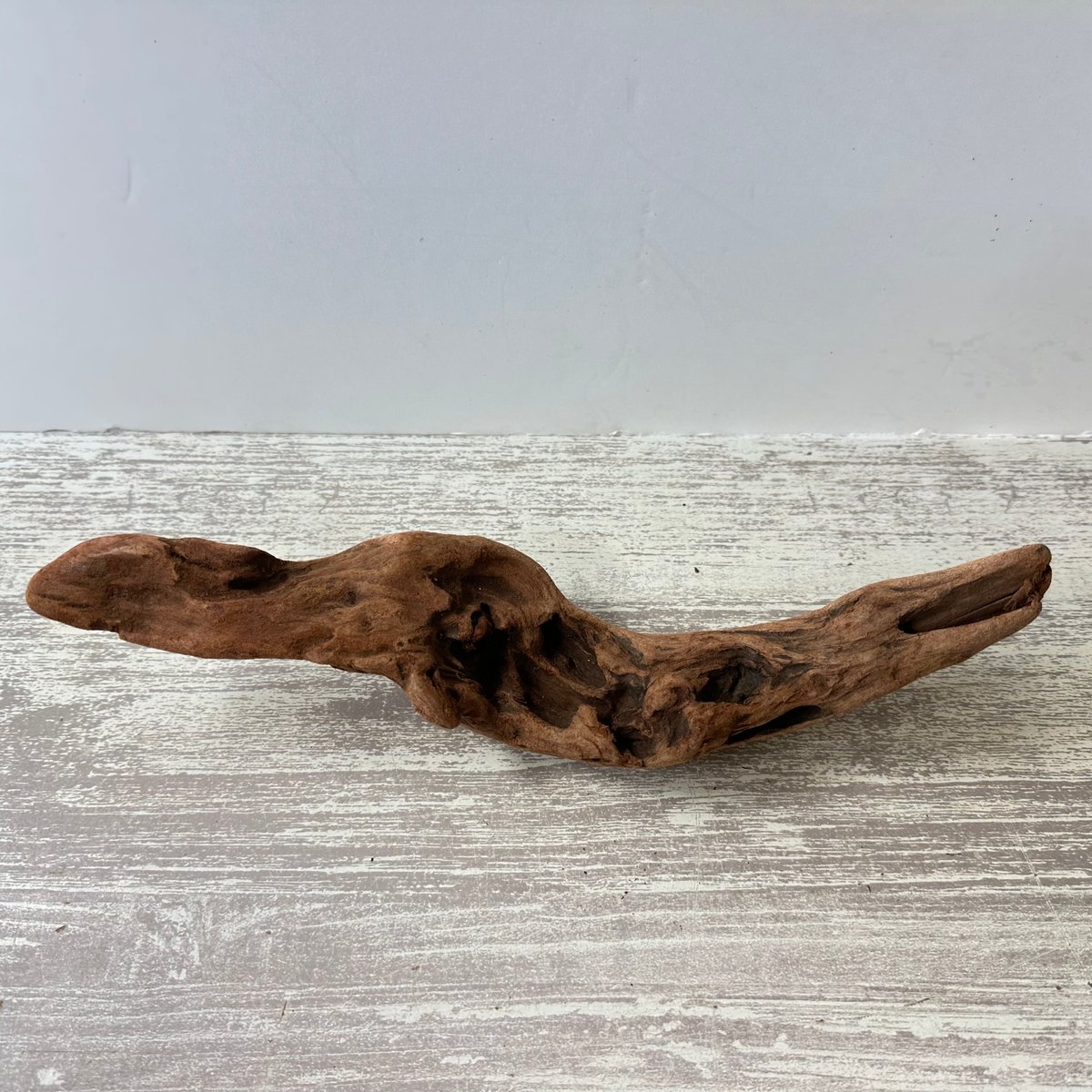 No.943】大型流木インテリア✫エアープランツ☆置物