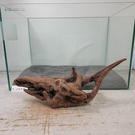 【ハマ流木】 流木 石 セット レイアウト流木の通販 by ジュジュジュジュジュ's shop