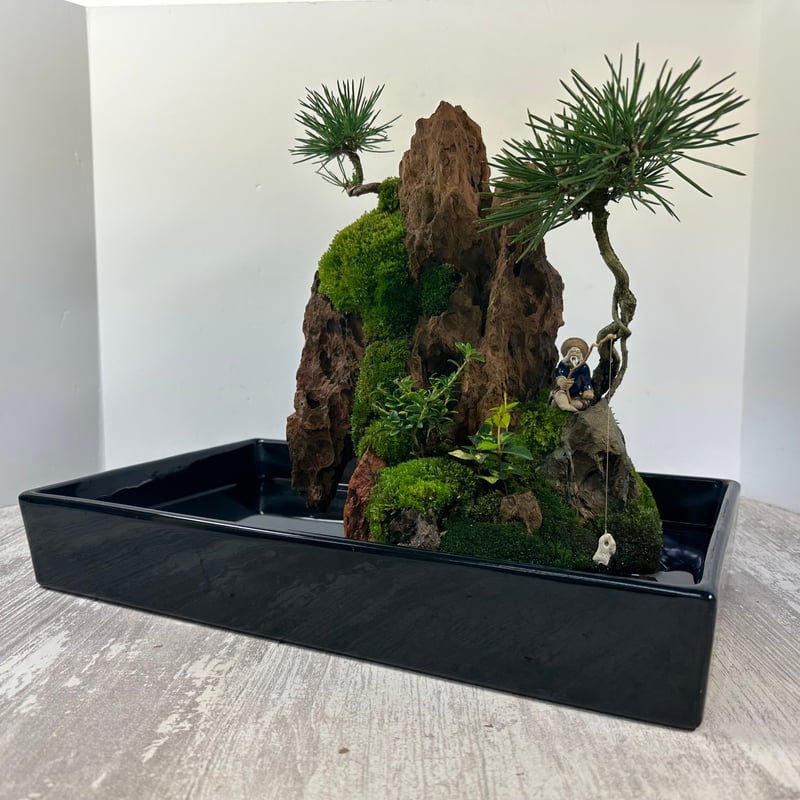 1点物 気孔石アート◆オブジェ アクアリウム　苔リウム　水槽用レイアウト　化石 楽天市場】全3種 1-2cm 20個 溶岩石 気孔石 木化石 青龍石 飾り