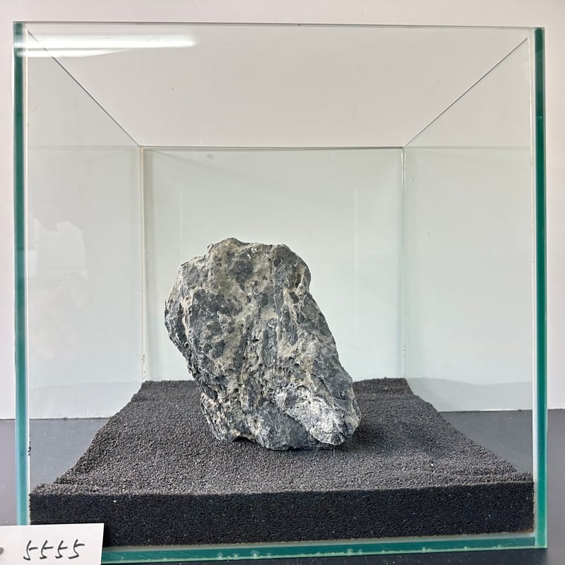 BIGドラゴンストーン 1点もの No.5555（W約18cm) (30cm水槽) | 流木専
