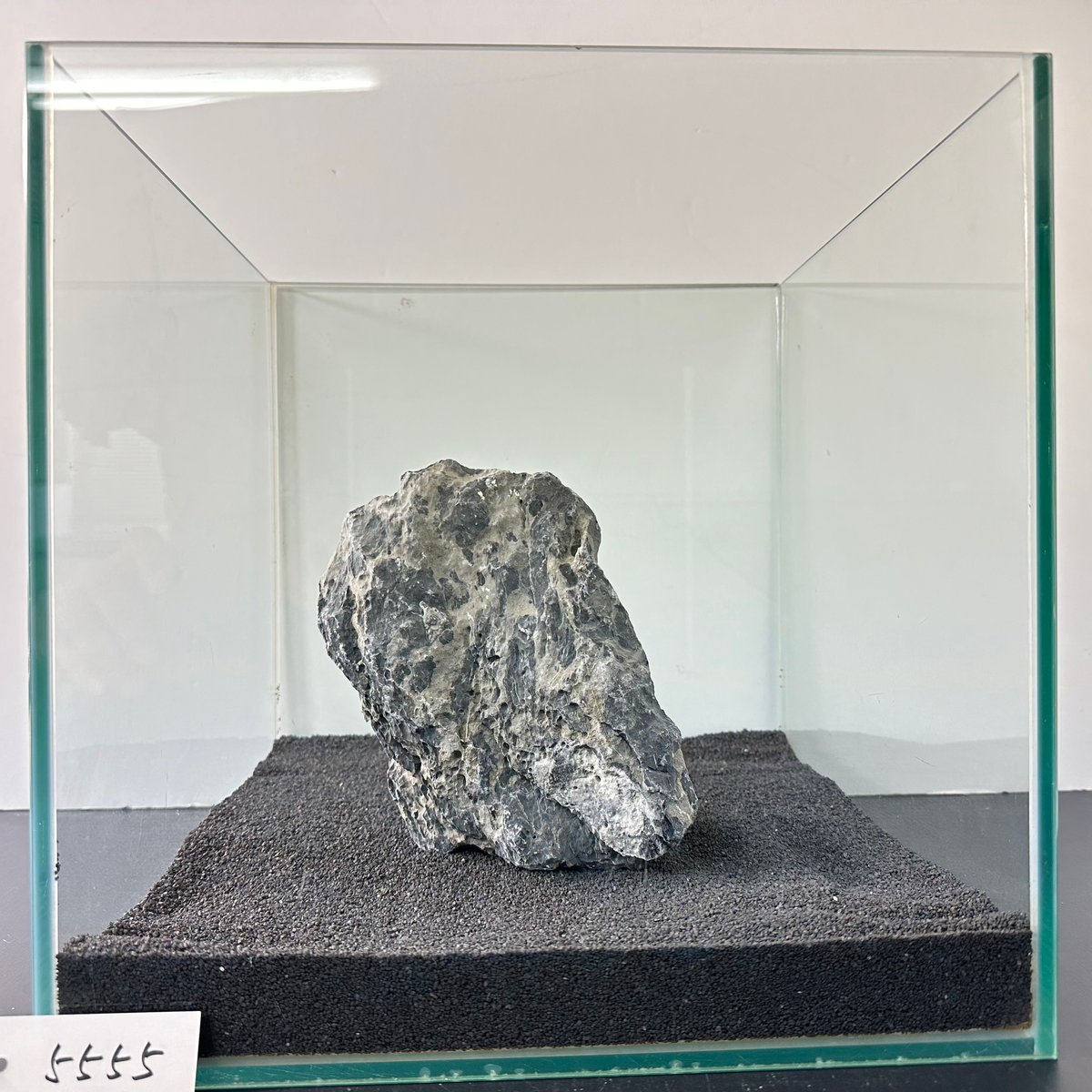 特大　流木【1655】 81THieY9dTL._AC_SY200_QL15_.jpg