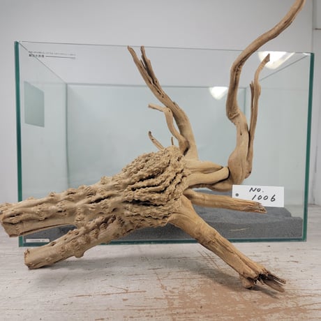 流木 高さ約45cm 魚用品 水槽用(中古)① CATEGORY 45cm水槽サイズ |