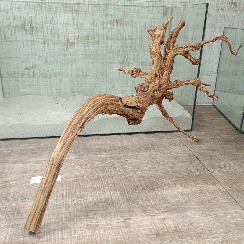 流木 うねうね系ロング　59cm 超お買い得ロングネシア流木 ブラウンタイプ 1点ものNo.1822【W約 59cm