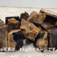 ミニ木化石 10kg セット（kgあたり520円） | 流木専門店のアクアリバー