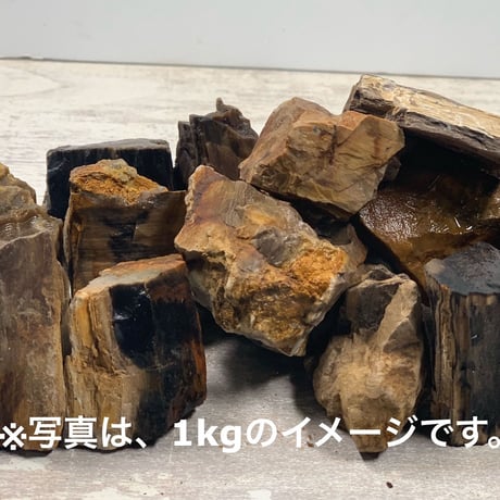 ミニ木化石  3kg セット（kgあたり650円）