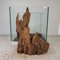 極美型　⭐︎大型マングローブ流木⭐︎ fit=scale-down,w=1200