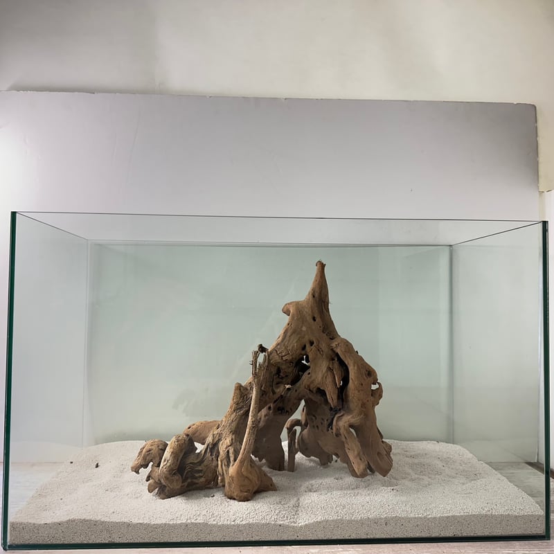 希少マングローブ系流木 BIG(W約30cm/30cm)・オンリーワン 希少マングローブ系流木 BIG(W約30cm/30cm)・オンリーワン
