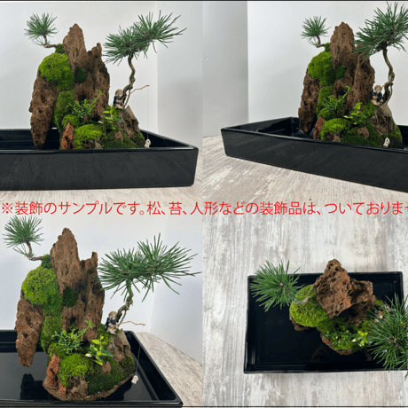 気孔石山（美型） 一点物の水槽オブジェ No. 4950  (45cm水槽)(W約23cm/H約29cm)