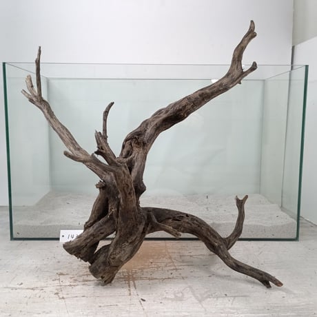 受注品：流木 CATEGORY ブランチ系流木 | 流木専門店のアクアリバー