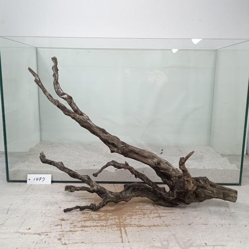 【流木2個セット】手渡し　大型流木 流木2個セット】手渡し 大型流木 流木2個セット】手渡し 大型流木