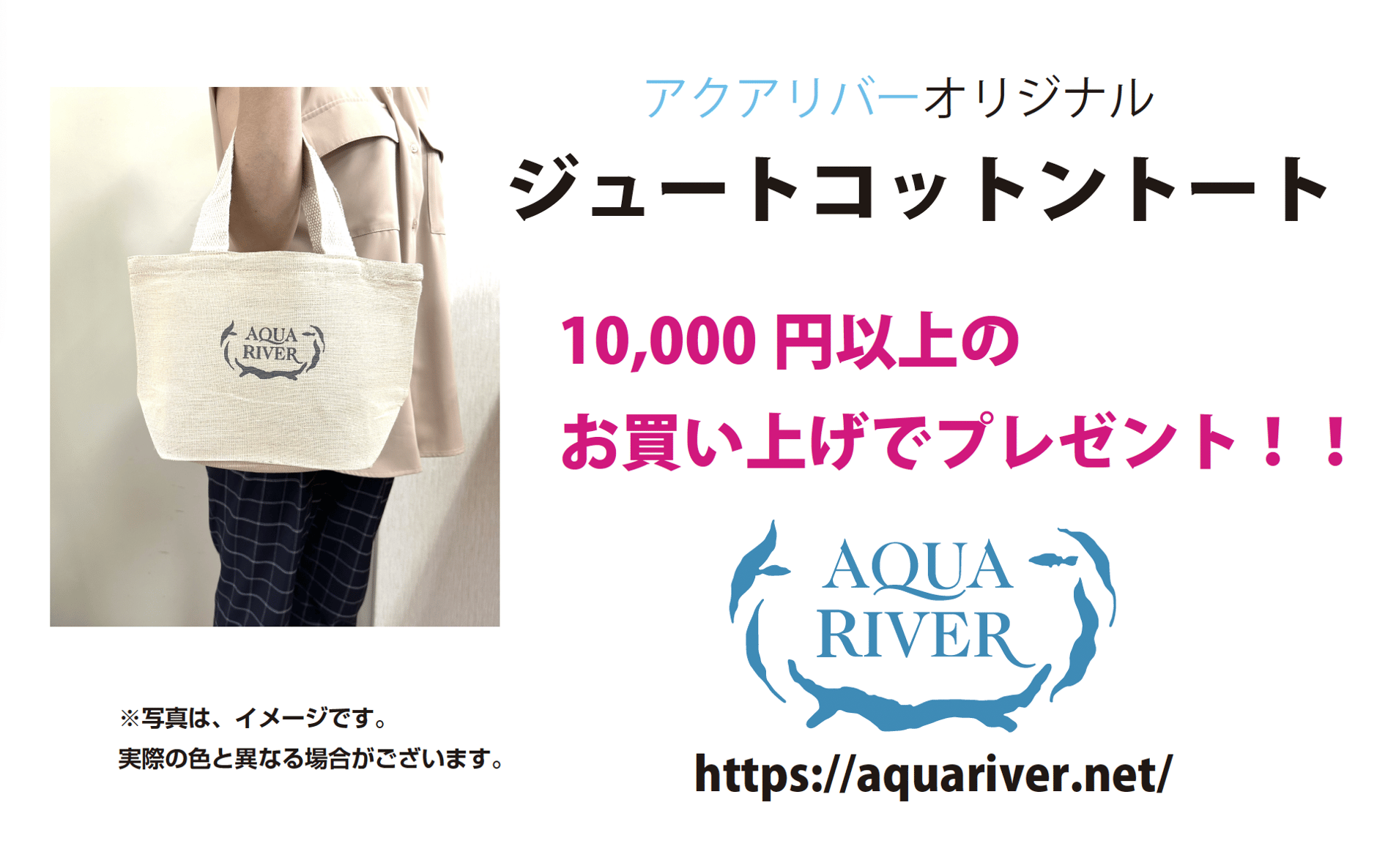 流木専門店のアクアリバー/アクアリウム/グリーンインテリア 流木専門店のアクアリバー/アクアリウム/グリーンインテリア