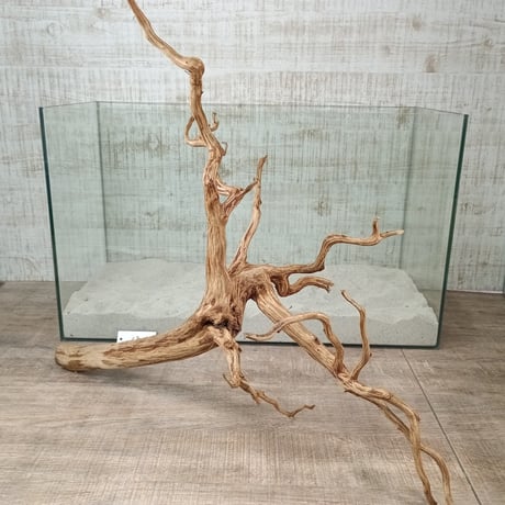 お買い得ビッグネシア流木 ブラウンタイプ　3Lサイズ　1点ものNo.1819【W約 54cm】