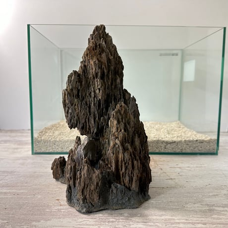 気孔石山（美型） 一点物の水槽オブジェ No. 4950  (45cm水槽)(W約23cm/H約29cm)