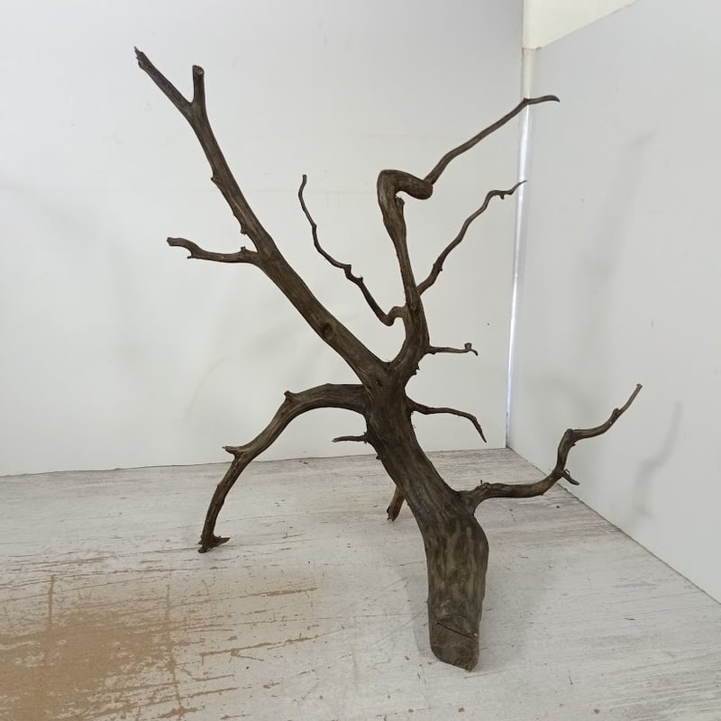 ネシア流木 ブラックタイプ 2Lサイズ 1点ものNo.1392【W約47cm