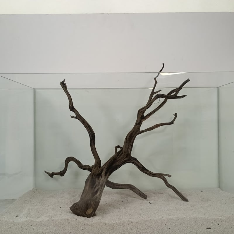 ネシア流木 ブラックタイプ 2Lサイズ 1点ものNo.1393【W約46cm