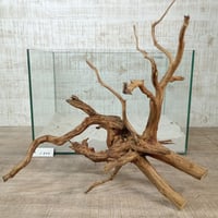 ネシア流木 ブラウンタイプ　3Lサイズ　1点ものNo.1866【W約46cm】
