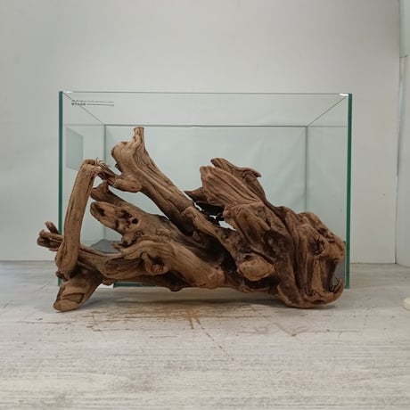 CATEGORY 流木（全種類） | 流木専門店のアクアリバー/アクアリウム