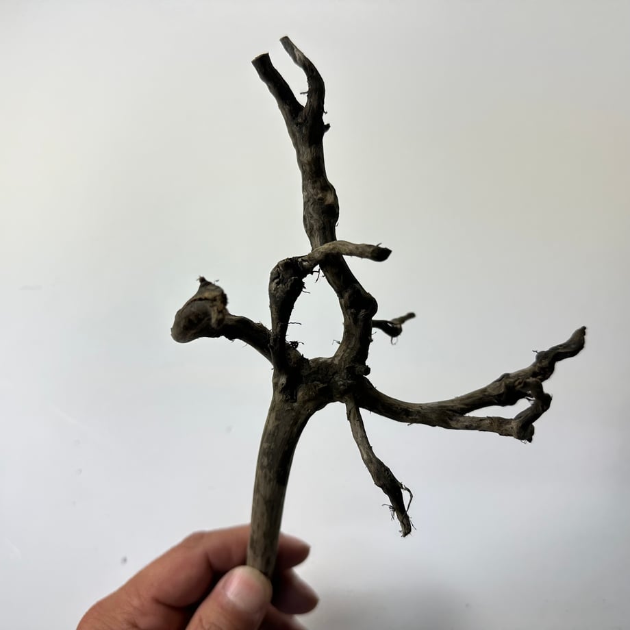 655af3fba0c07f002bb4f6a8