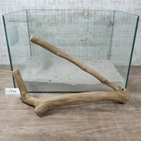 コーヒーブランチ　　ダブル　NO.1932 (W約42㎝） 爬虫類のケージなどに