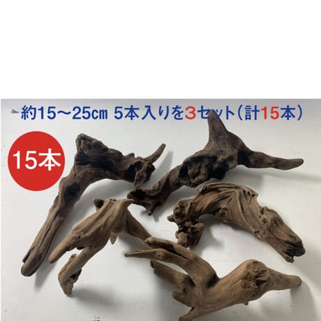マングローブ系流木 Sサイズ15cm〜25cm  おまかせ5本×３セット（合計15本）