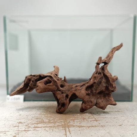 流木専門店のアクアリバー/アクアリウム/グリーンインテリア