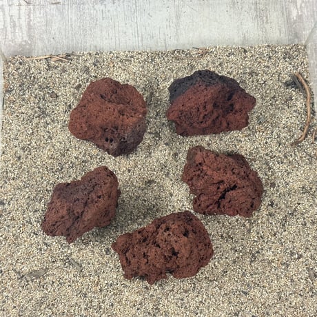 レッド溶岩石Ｓサイズ(約5cm〜10cm)　 ５個セット