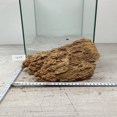 BIG気孔石　１点もの　No.1657（W約27cm)(30cm水槽）