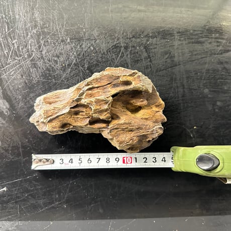 気孔石Sサイズ  おまかせ５Kg（kgあたり596円）（45cm水槽）