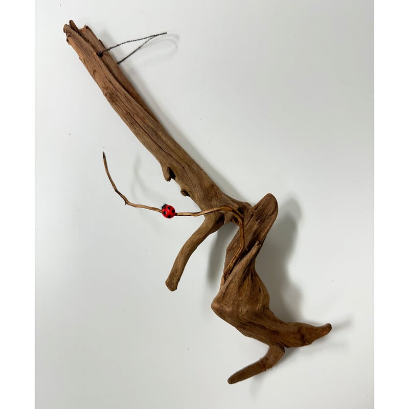 ハンギング流木 (てんとう虫装飾付き） No.4850 | 流木専門店のアクア