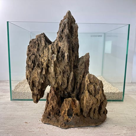 気孔石山（美型） 一点物の水槽オブジェ No. 4946  (45cm水槽)(W約26cm/H約32cm)