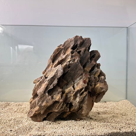 BIG気孔石塊　１点もの　No.5011（W約31cm/H約25cm)(60cm水槽）