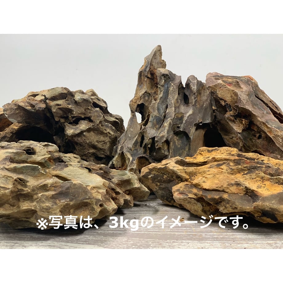 62b03b6db1f1102755dd0513