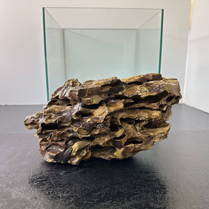 BIG気孔石 1点もの No.5563（W約27cm)(60cm水槽） | 流木専門店の