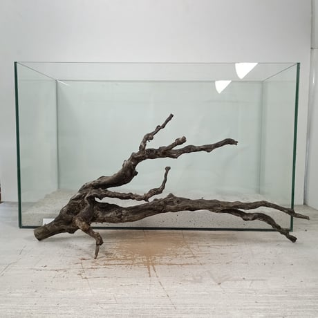 CATEGORY ブランチ系流木 | 流木専門店のアクアリバー/アクアリウム