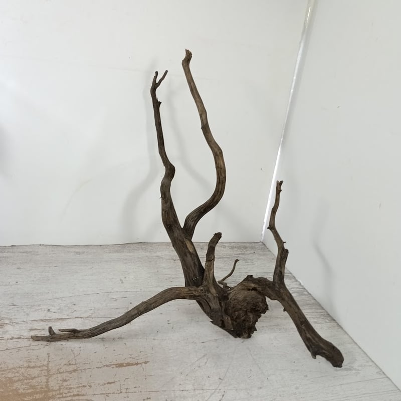 ネシア流木 ブラックタイプ Lサイズ 1点ものNo.1395【W約46cm】 | 流木