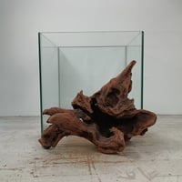 【ハマ流木】 CATEGORY Sサイズ | 流木専門店のアクアリバー/アクアリウム