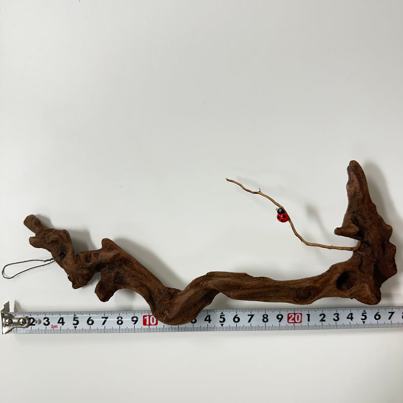 流木　　② fit=scale-down,w=1200